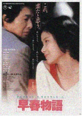 窃视者电影封面